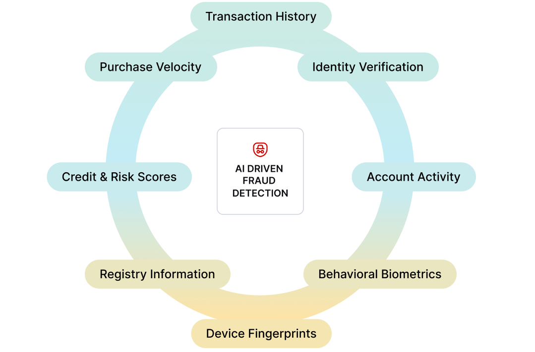 Signals for AI Driven Fraud Detection